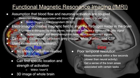 Functional Neuroimaging Techniques — Institute of Neuro Innovation