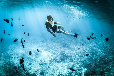 Photo of a Person Snorkeling · Free Stock Photo