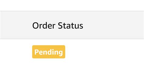 Amazon Orders Pending - Why, What and How Long?