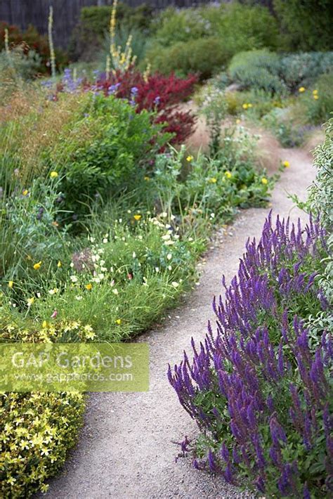 Path through drought... stock photo by Matt Anker, Image: 0090248