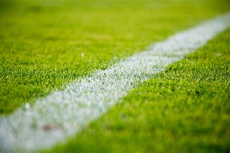 grass, Soccer Field Wallpapers HD / Desktop and Mobile Backgrounds