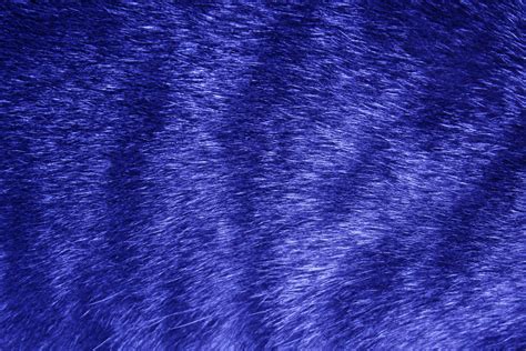 Blue Tabby Fur Texture – Photos Public Domain