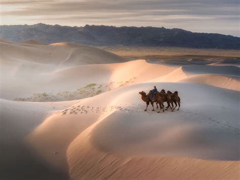 An Adventure through Mongolia’s Gobi Desert | Travel Insider