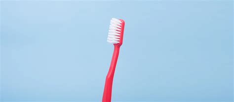 4 Mouth Hygiene Rituals That Supplement Your Dentist Appointments - Women Daily Magazine