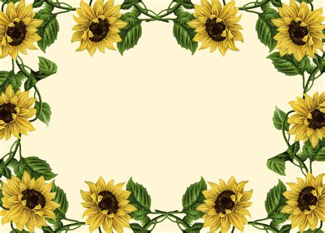 free sunflower border clipart 10 free Cliparts | Download images on Clipground 2024