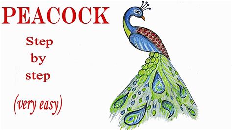 How to draw a peacock step by step (very easy) | Peacock drawing, Step by step drawing, Drawing ...