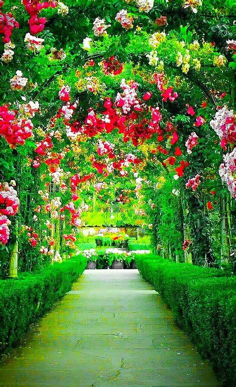 Garden Background | Nature background images, Photoshop backgrounds backdrops, Flower background ...