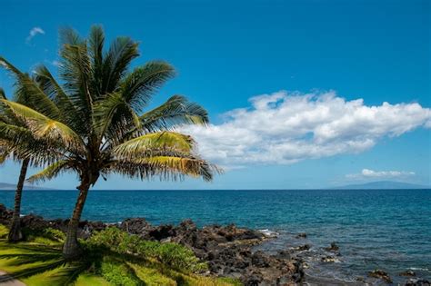 Premium Photo | Beautiful beach in aloha hawaii. tropical beach with palms. holiday and vacation ...