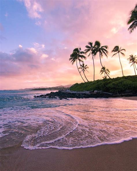 the sun is setting over an ocean with palm trees in the foreground and waves crashing on the shore