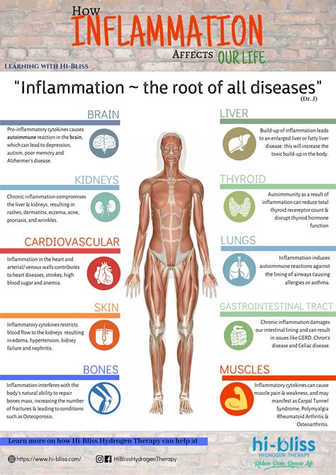 How Inflammation Affects Our Life - Hi-Bliss Hydrogen Therapy