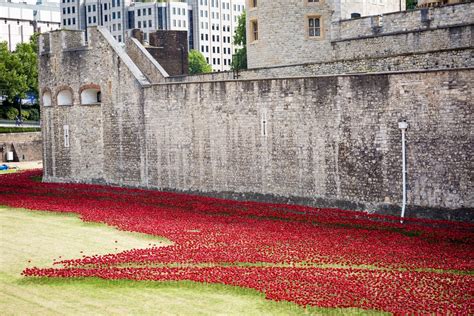 For WWI Anniversary, the Tower of London Has Become Surrounded by a Sea of Poppies | Smithsonian