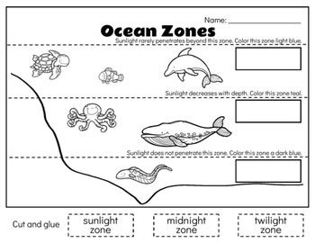 Ocean Zones by Pear Tree Academy | Teachers Pay Teachers