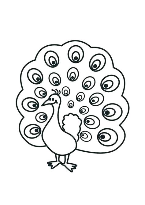 Realistic Peacock Coloring Pages at GetColorings.com | Free printable colorings pages to print ...