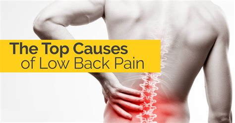 The Top Causes of Low Back Pain | Tulsa Chiropactor - Schluter Chiropractic