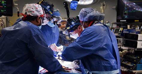 First Successful Pig-to-Human Heart Transplant Performed