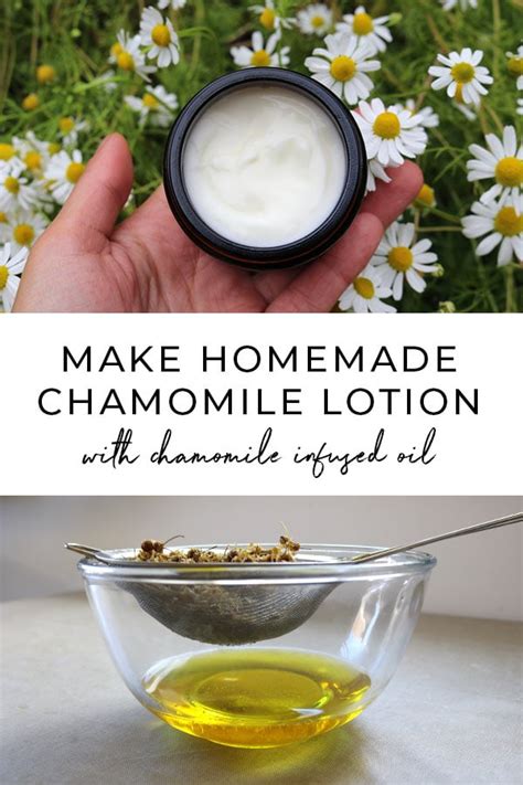 Homemade Chamomile Lotion Recipe • Lovely Greens