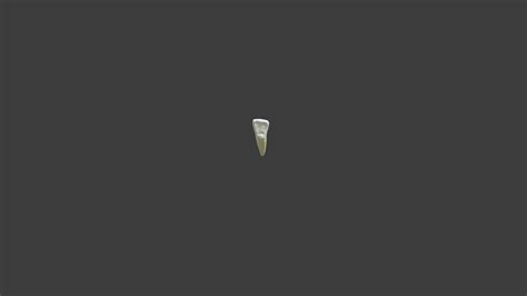 Cingulum rest U shape - Download Free 3D model by Ahmed Mahrous (@drahedmahrous) [d214827 ...