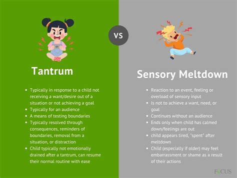 Tantrum or Sensory Meltdown? Fort Myers ABA Therapists Explain - Focus Therapy