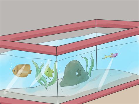 The Best Way to Set up a Tropical Freshwater Aquarium - wikiHow