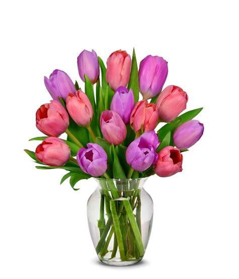 Pink and Purple Tulips - 15 Stems at From You Flowers