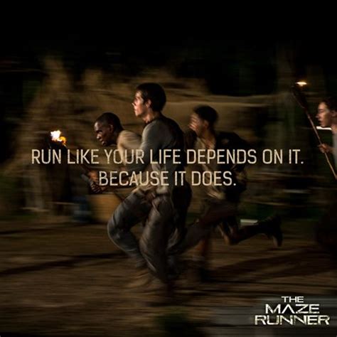 The Ending of the Maze Runner Explained