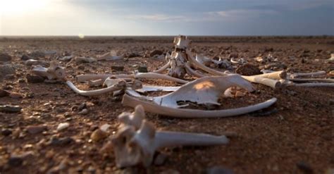 Valley of Dry Bones Meaning: A Symbol of Restoration and Hope