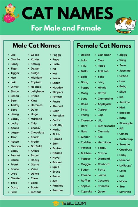 Cat Names: 70+ Most Popular Male and Female Cat Names • 7ESL | Funny cat names, Girl cat names ...