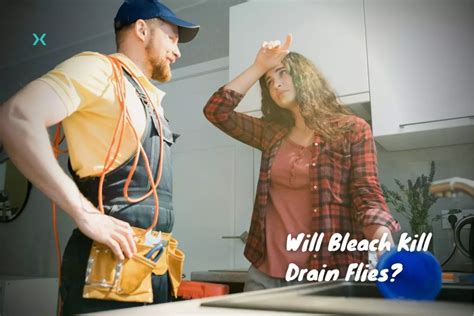 Will Bleach Kill Drain Flies? | Phyxter Home Services