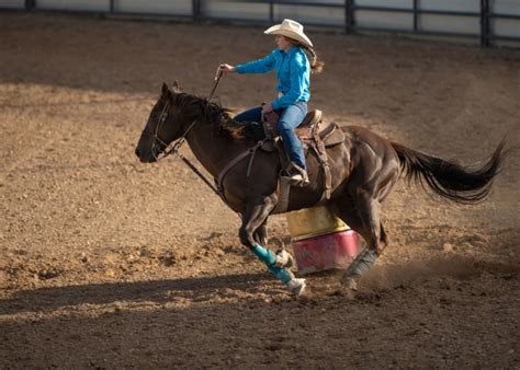 10 Best Horses For Barrel Racing