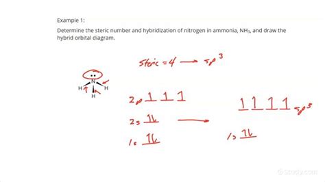 How to Draw Hybrid Orbital Diagrams for a Molecule by Finding the Steric Number | Chemistry ...