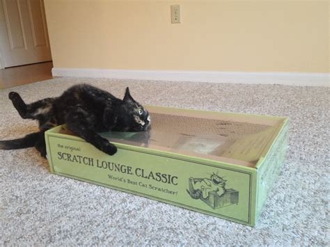 Cat Scratching Boxes - The Cat Lounge Classic Review