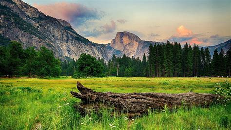 HD wallpaper: ultra hd 8k resolution 7680x4320 nature, mountain, tree, scenics - nature ...