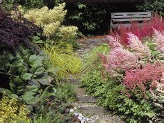 Astilbes Hillside Landscaping, Farmhouse Landscaping, Landscaping Ideas, Backyard Ideas, Garden ...