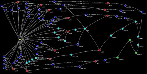 Generated DAG graph for the Case Study. | Download Scientific Diagram