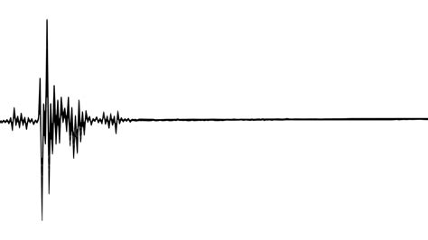 Earthquake Seismograph Vector