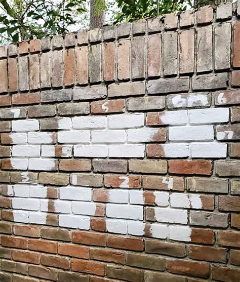 How to Cover Outside Brick Wall - Back Gardener