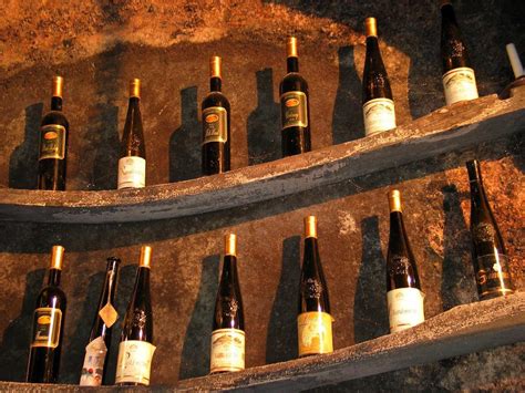 The oldest wine in the world from the cellars of Maribor » Tripfreakz.com