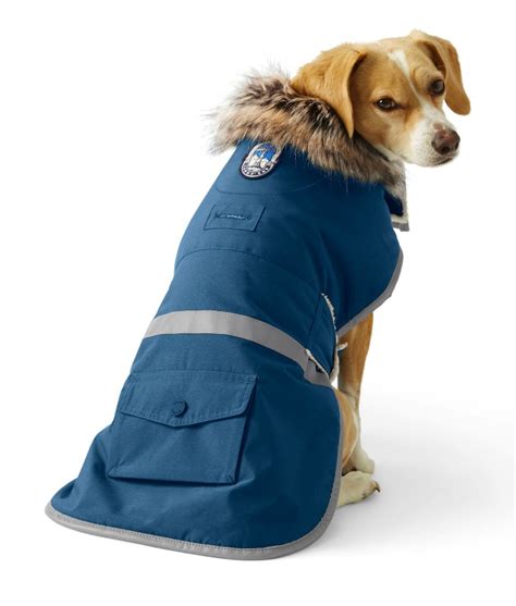 13 Best Dog Jackets for Winter to Keep Your Pup Happy and Warm