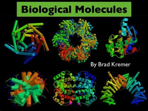 Biological Molecules