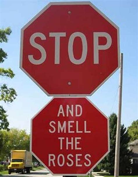 20 Funny hacked stop signs | Funny Signs