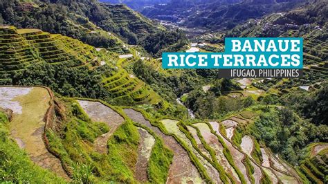 Banaue Rice Terraces in Ifugao, Philippines | The Poor Traveler ...