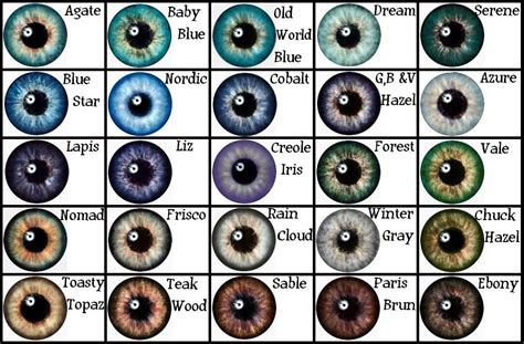 the eye color chart hubpages - on twitter | rare eye colour chart - Melody Herrera