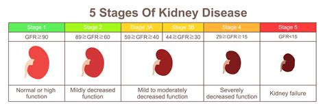 Kidney Disease Number Chart