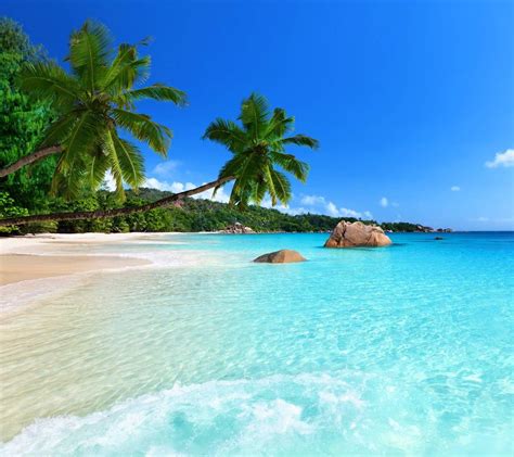 Tropical Beach Scenes Wallpapers - Top Free Tropical Beach Scenes Backgrounds - WallpaperAccess