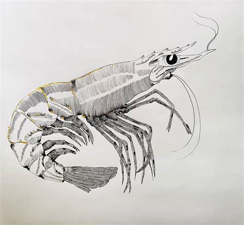 A shiny shrimp Drawing by Ioana Barca | Saatchi Art