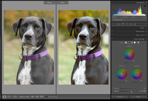 Color Grading Continued - Lightroom Killer Tips