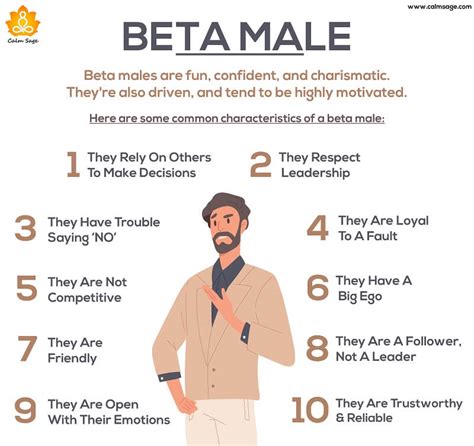 Alpha Beta Personality Types The Alpha, Beta, Omega And Othe