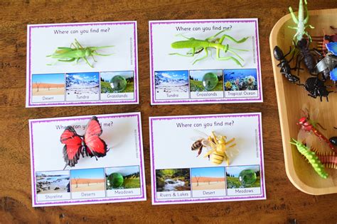 Insect Themed Lesson Plans for Kindergarten to First Grade | The Pinay Homeschooler