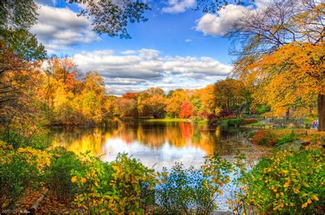 Autumn Lake with Colorful Foliage