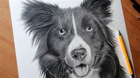 Realistic Dog Drawing